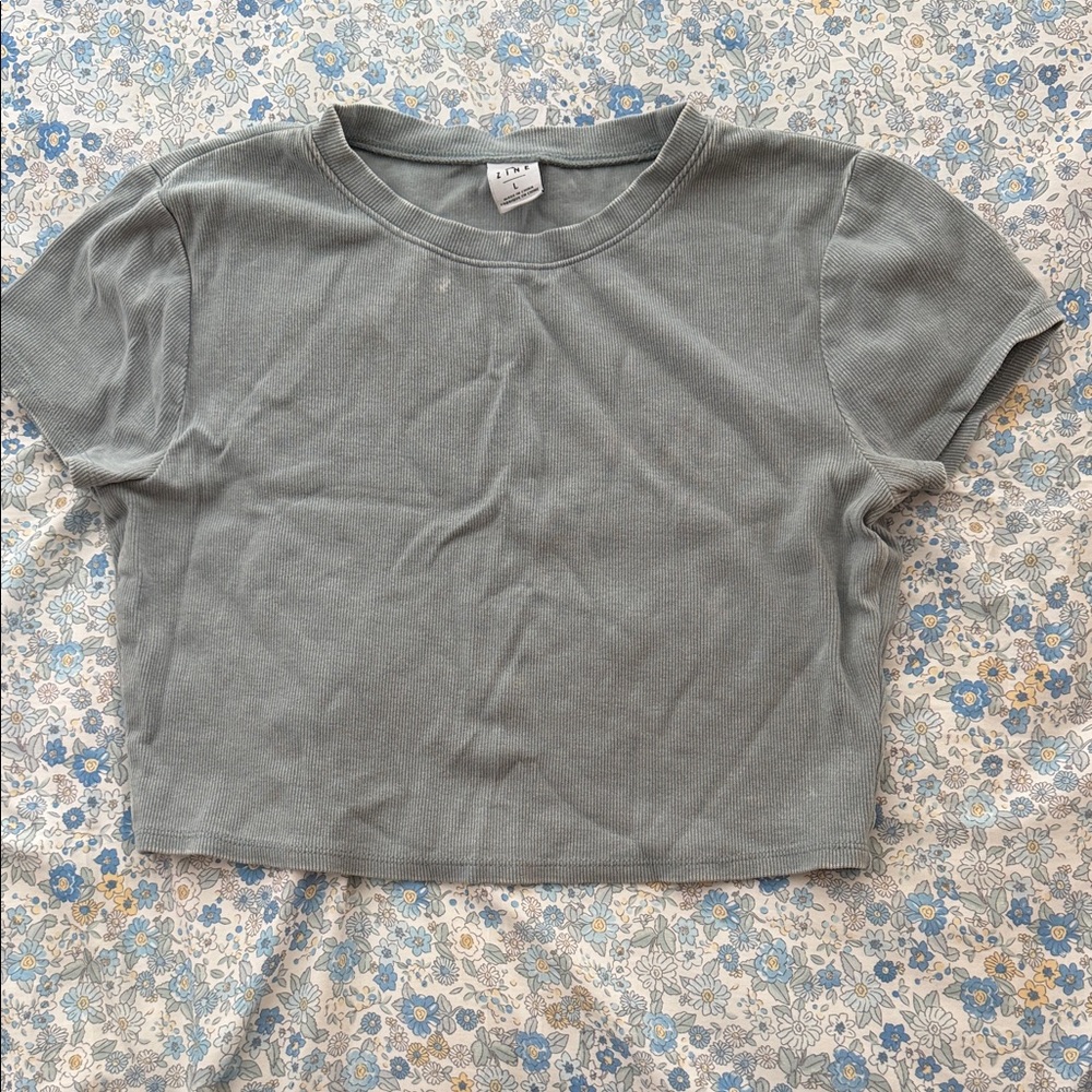 Zine Clothing Gray Crop Top